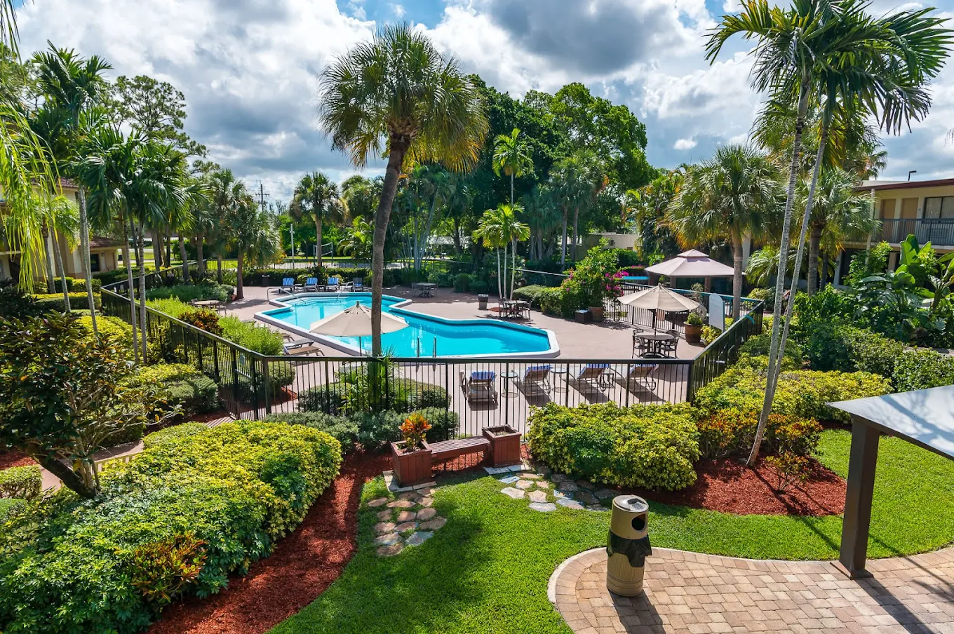 Outdoor pool surrounded by palm trees and lounge seating.