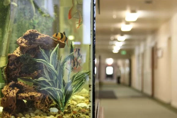 Triumph Treatment Services Inspiration Yakima 6