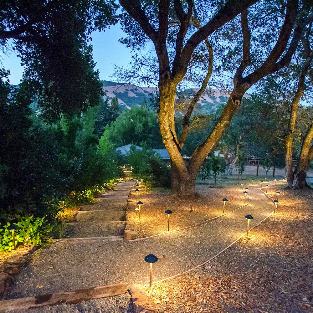 Outdoor courtyard pathway with evening lights
