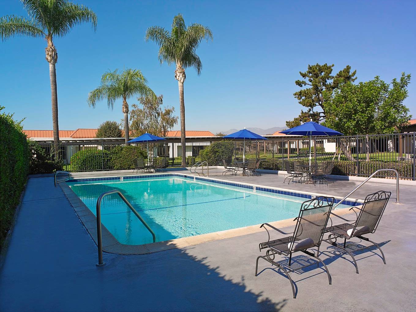 Fenced pool with lounge chairs and palm trees
