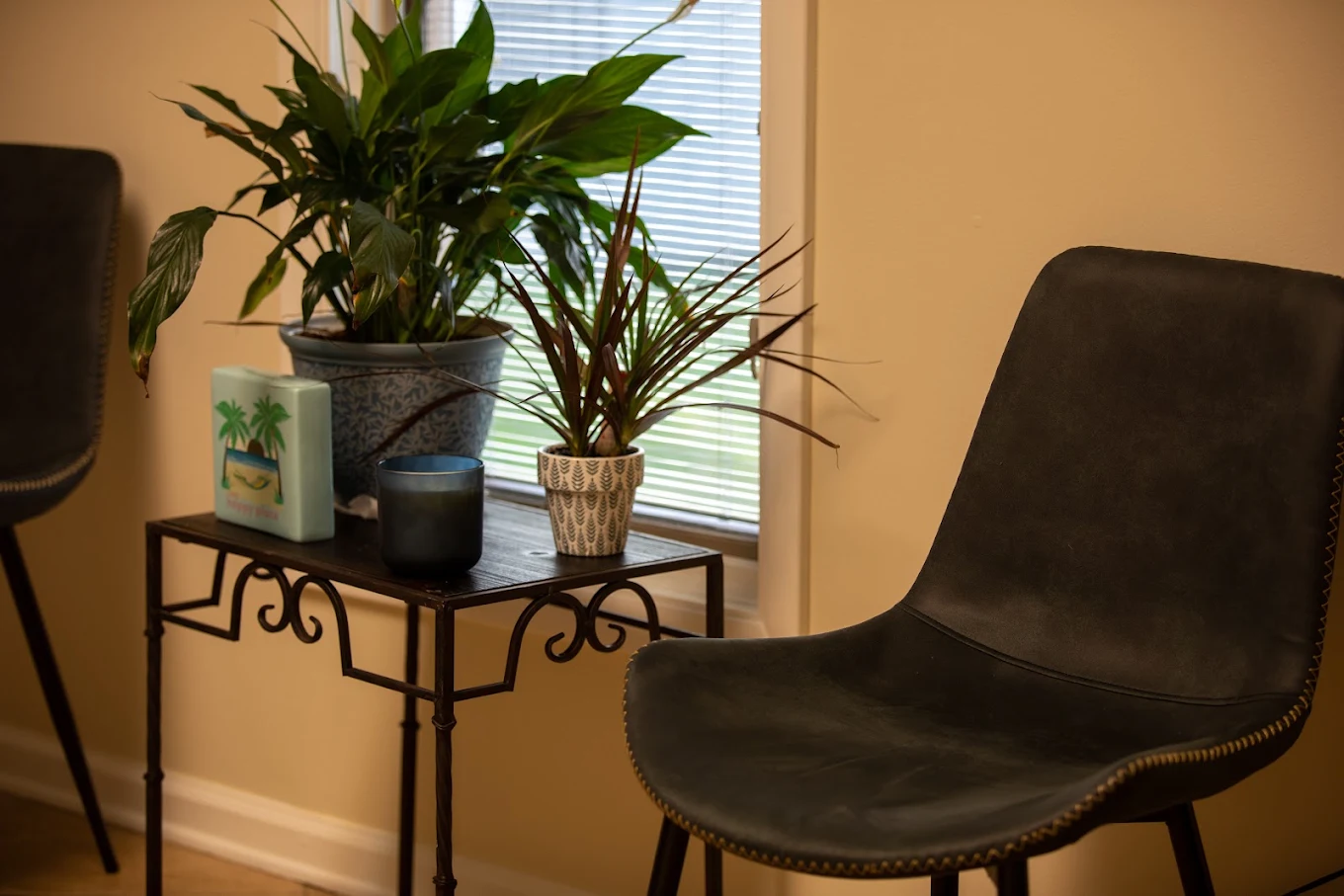 Consultation area with chairs, plants, and natural light