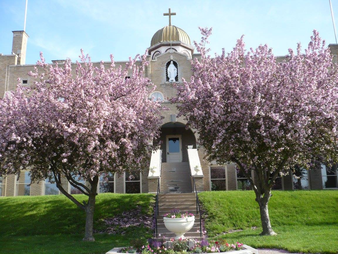 Rehab center entry framed by pink flowering trees