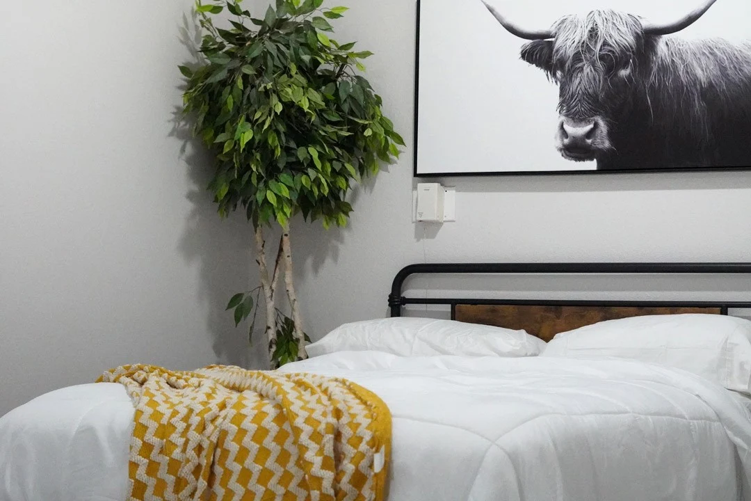 Bed with white linens and decor