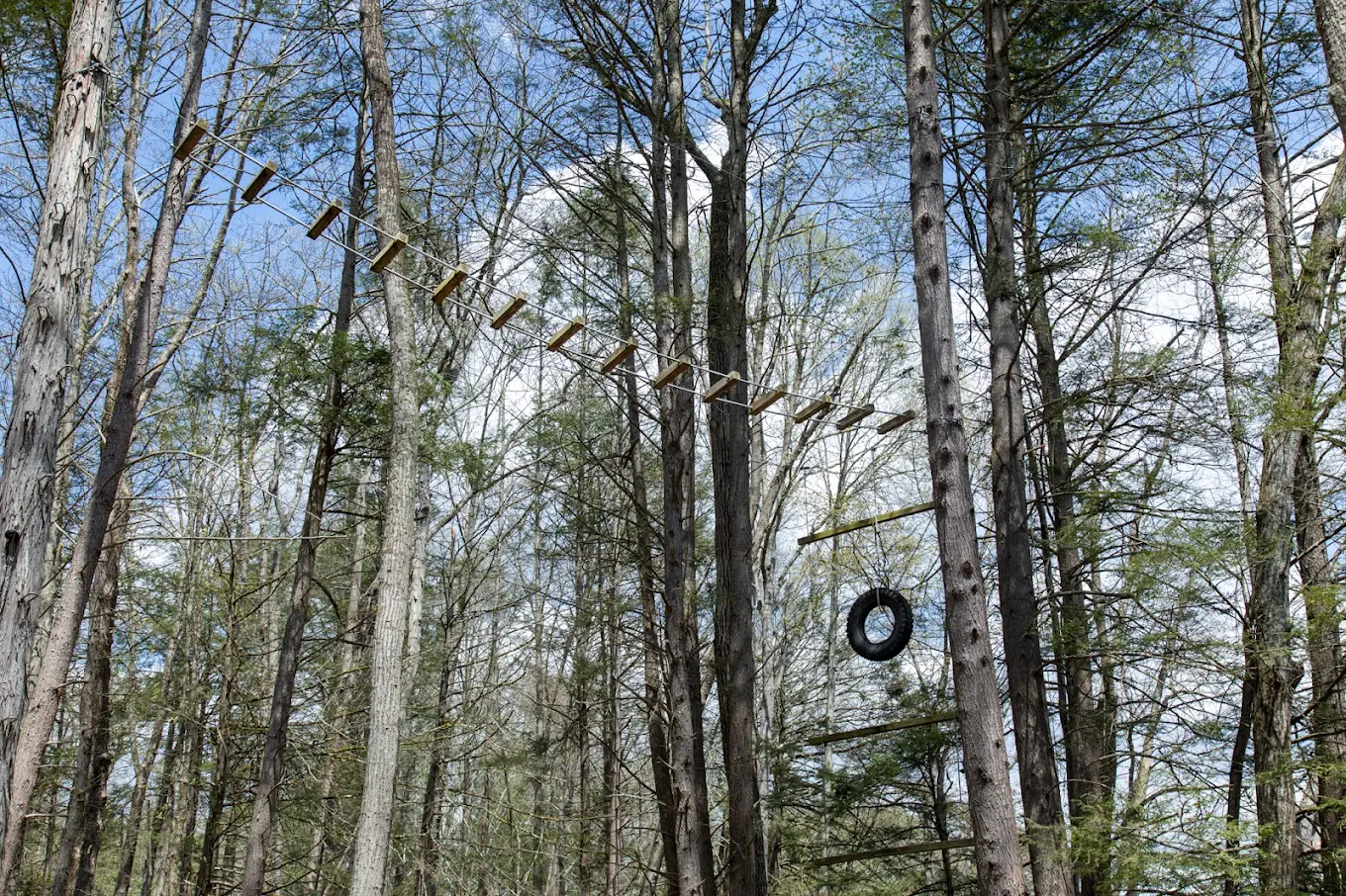 Outdoor ropes challenge course among tall trees