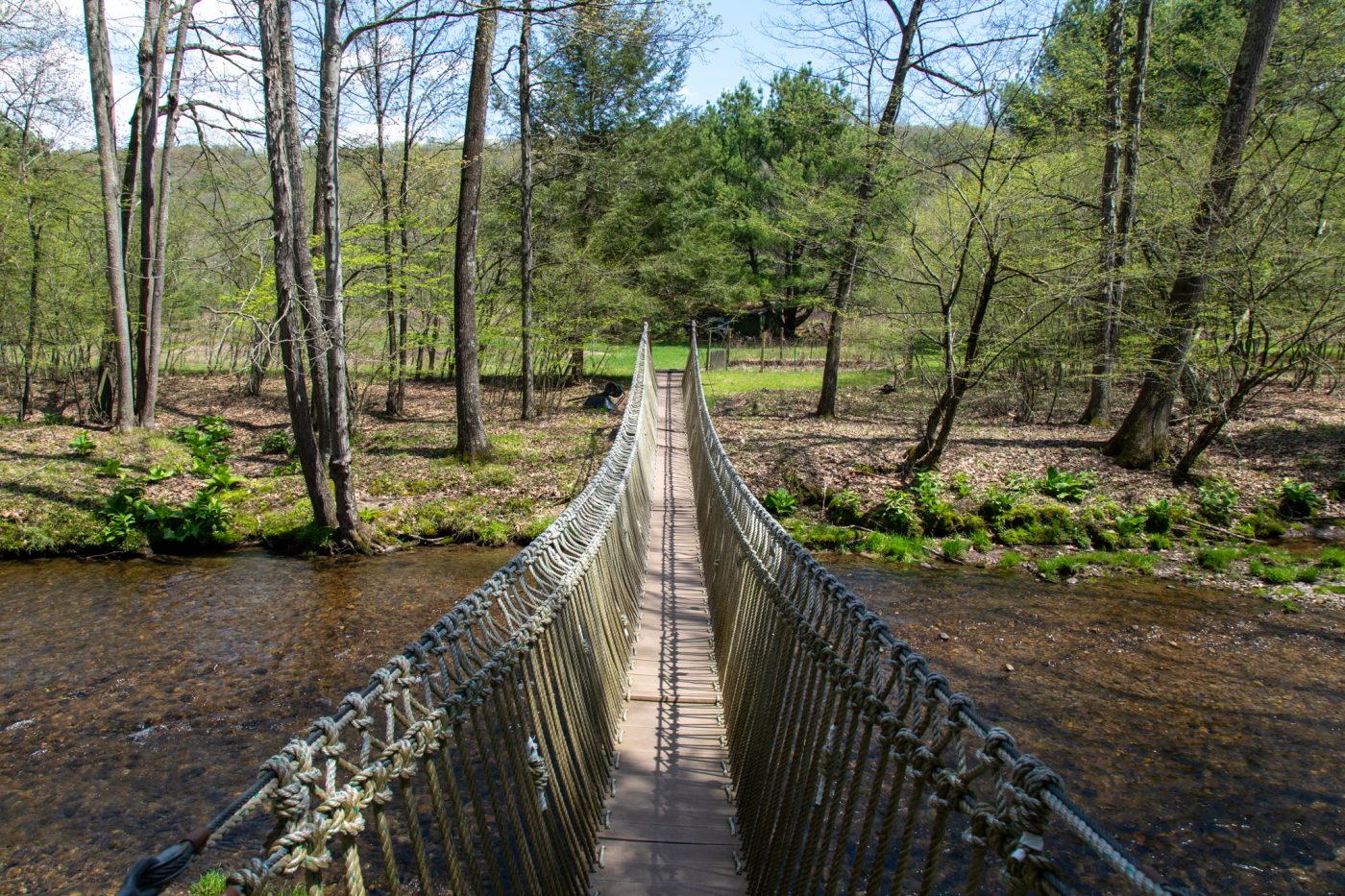 Rope bridge crossing a shallow creek in wooded area