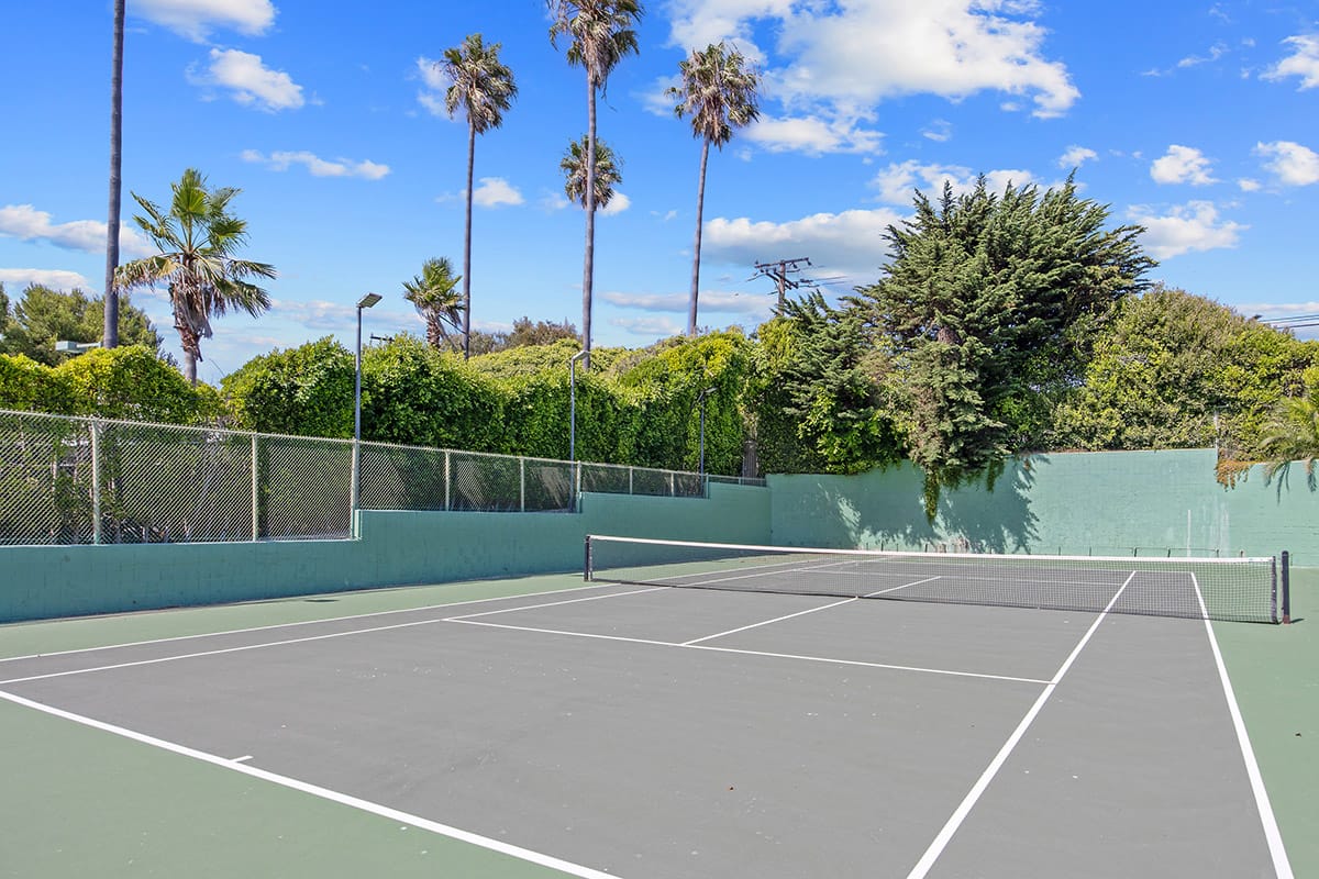 Outdoor tennis court surrounded by palm trees