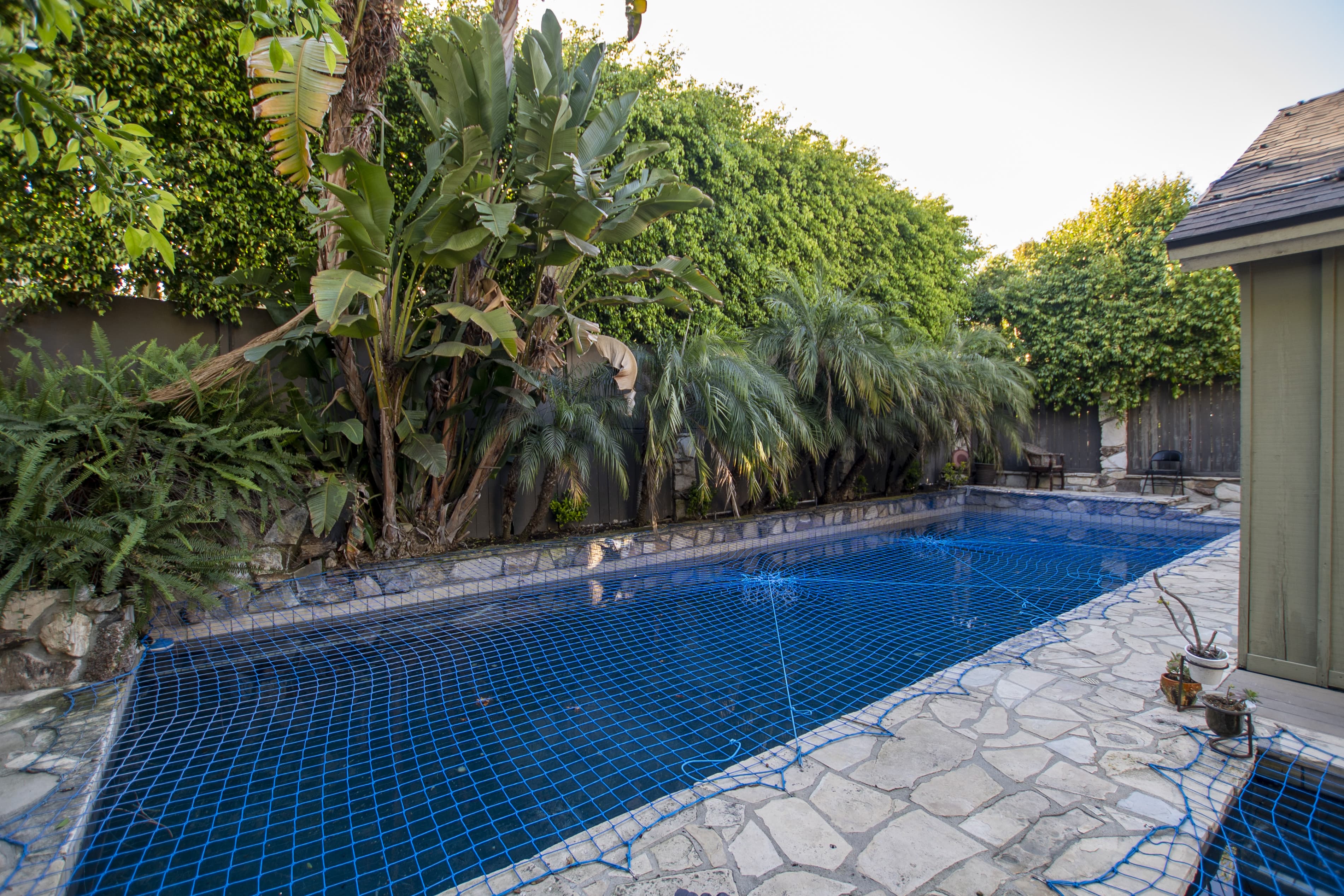 Gated pool surrounded by palms and stone patio