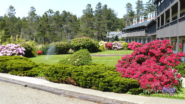  A garden with colorful flowers and a manicured lawn.