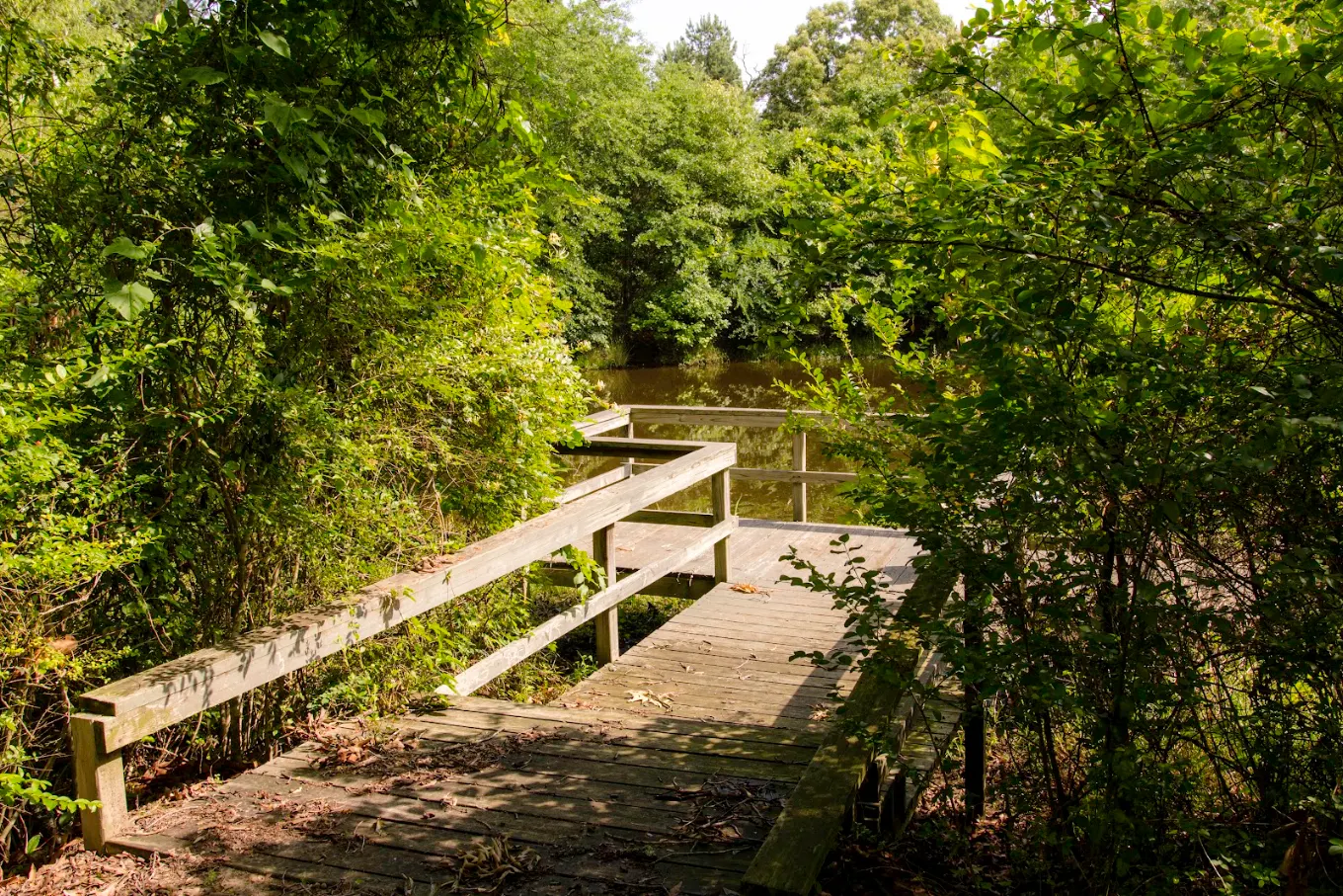 Wooden deck overlooking a pond surrounded by trees.