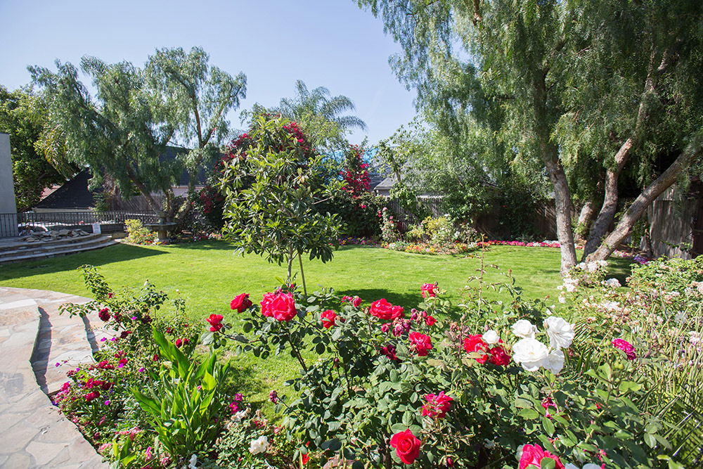 Garden with green lawn, flowers, and trees at Chabad Treatment Center