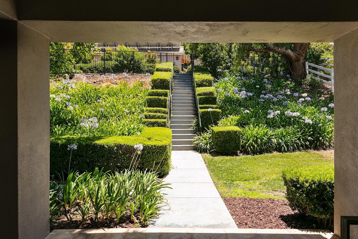 Garden pathway leading to stairs.