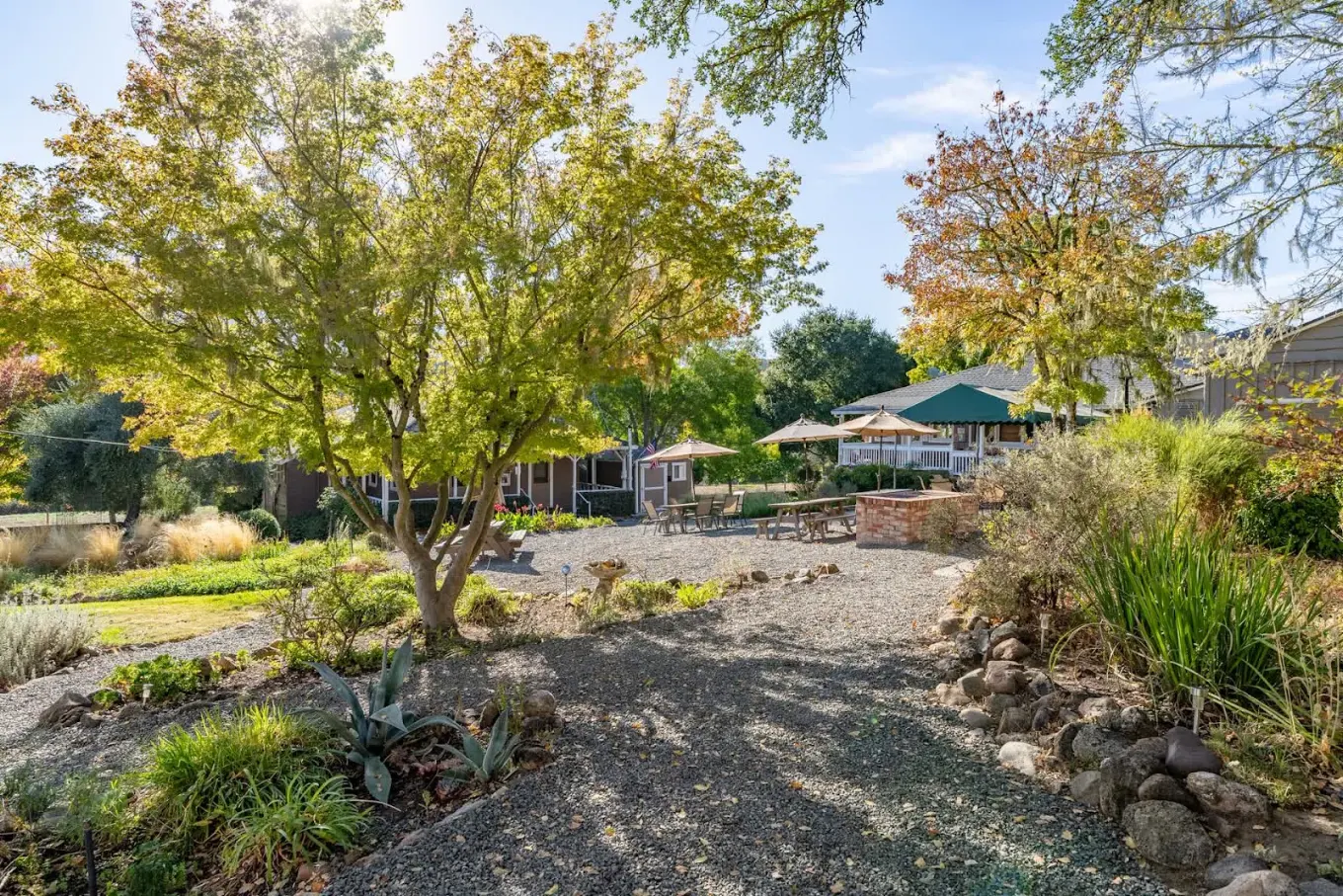 Gravel garden pathway surrounded by trees and plants