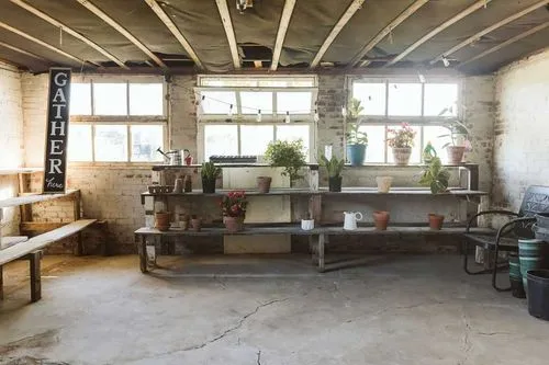 Indoor gardening bench with potted plants and tools