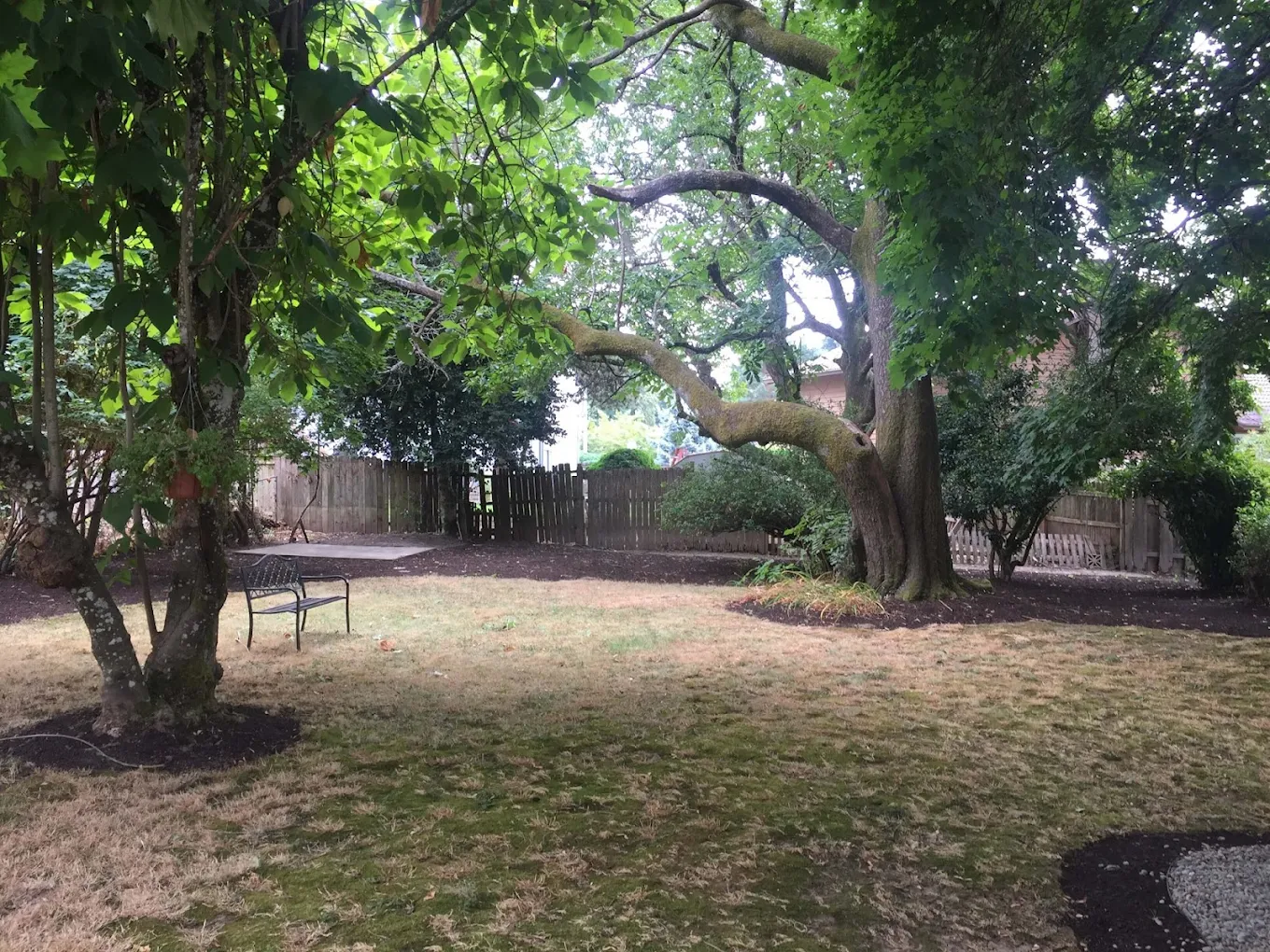 Tree-filled yard with wooden fence and bench