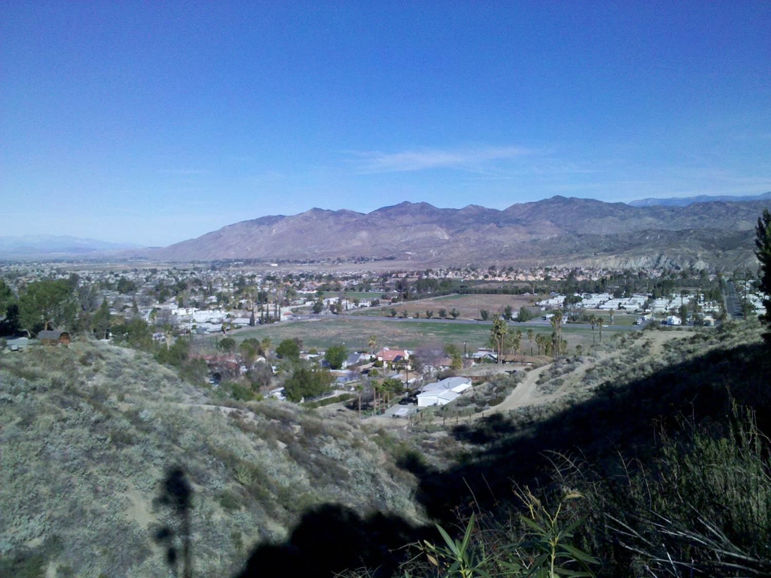 Rose Of Sharon 7 Divine Intervention Recovery Ranch San Jacinto7