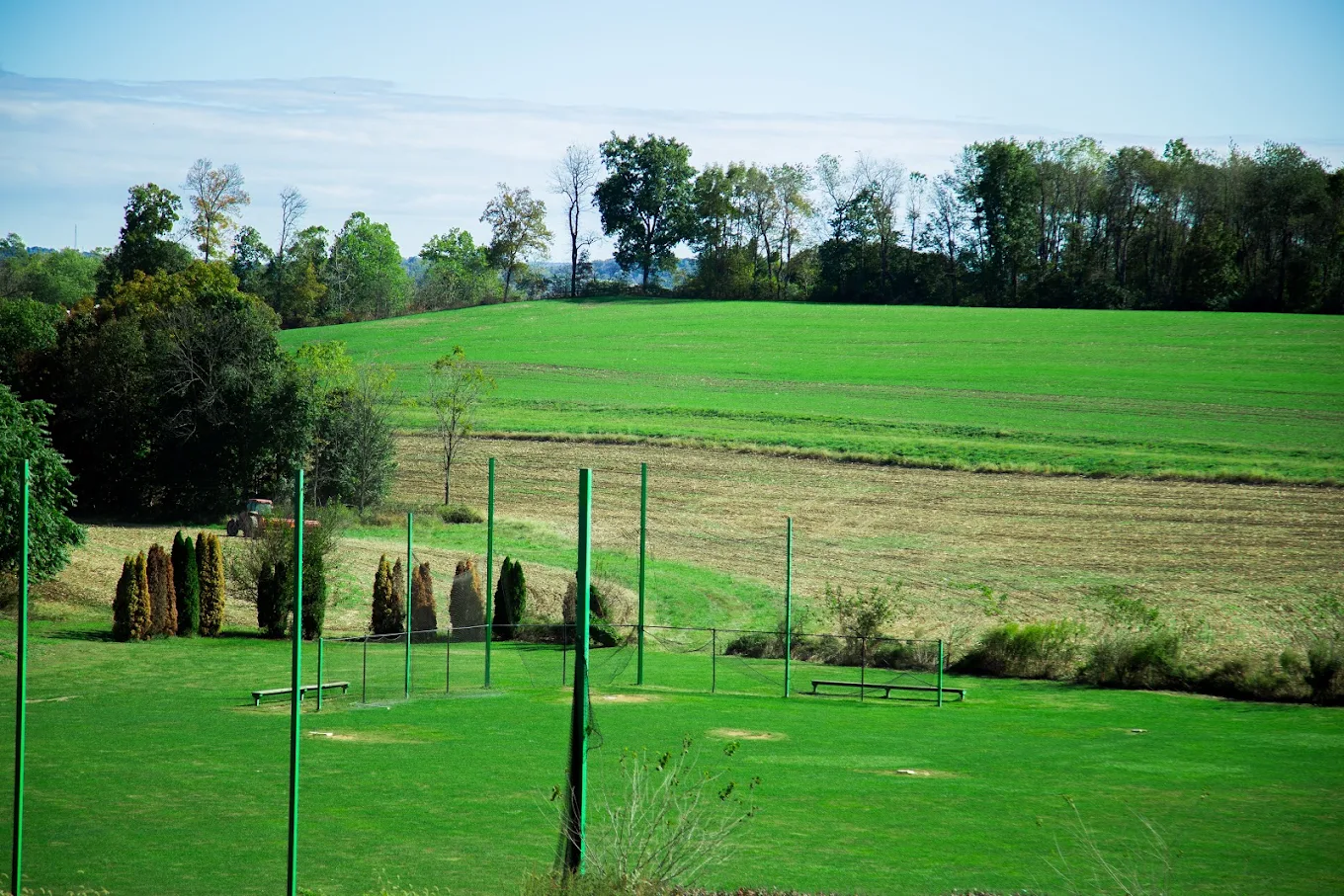 Open green field with volleyball court and tree line