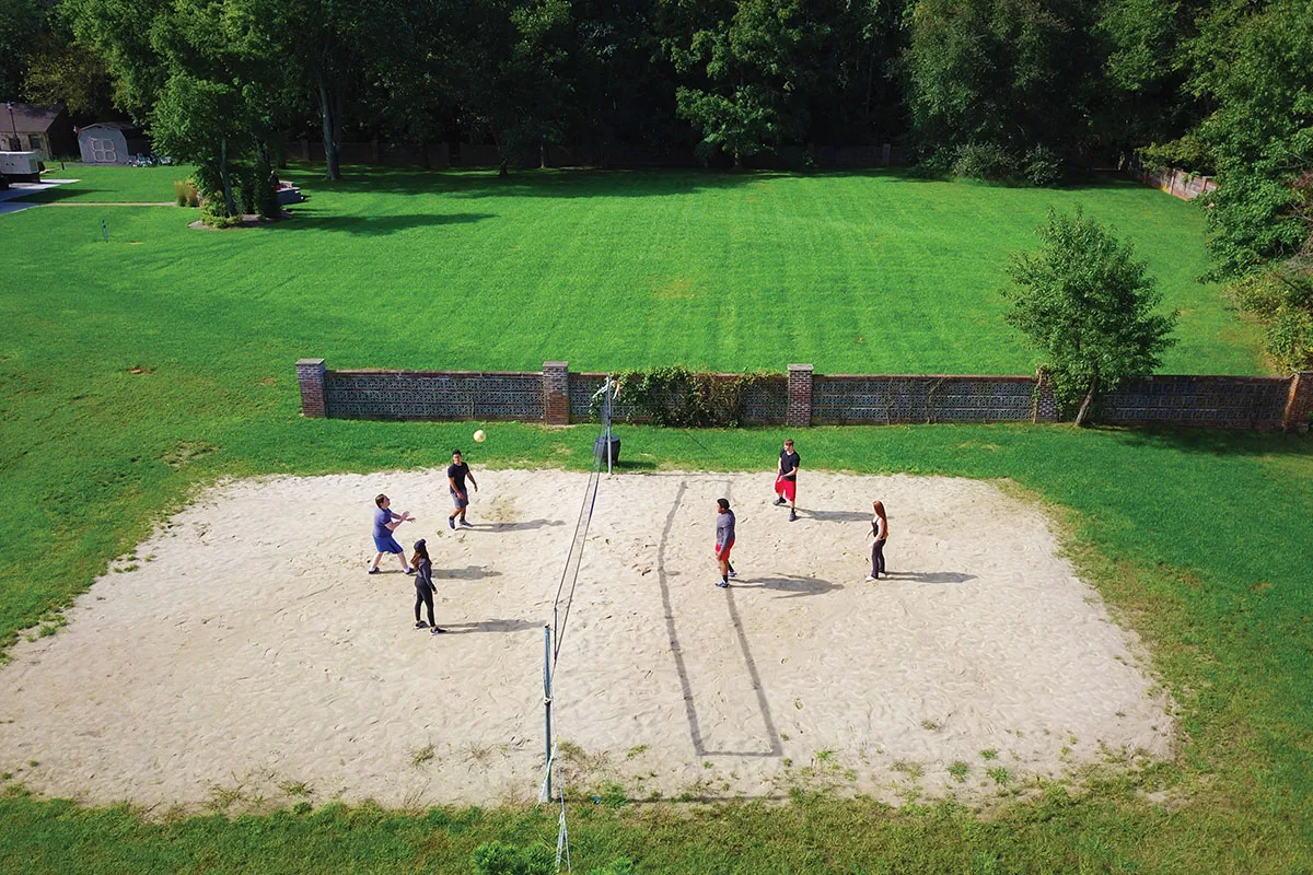 Beach volleyball on sunny green lawn