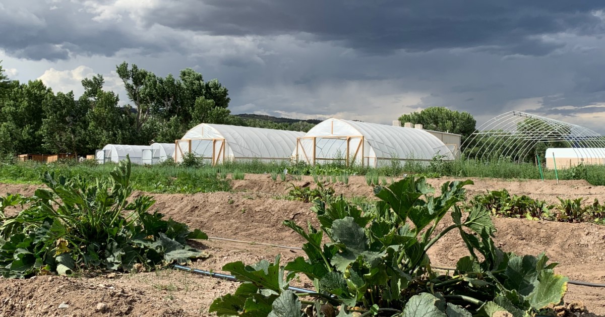 Hoy Recovery Program Inc Velarde5