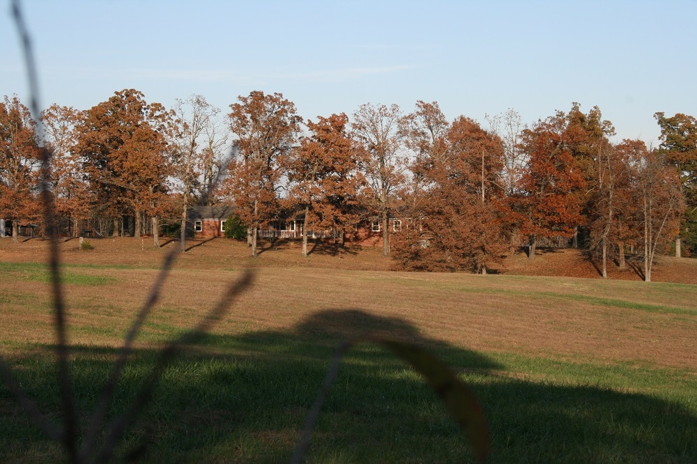 Rehab facility building partially hidden by trees