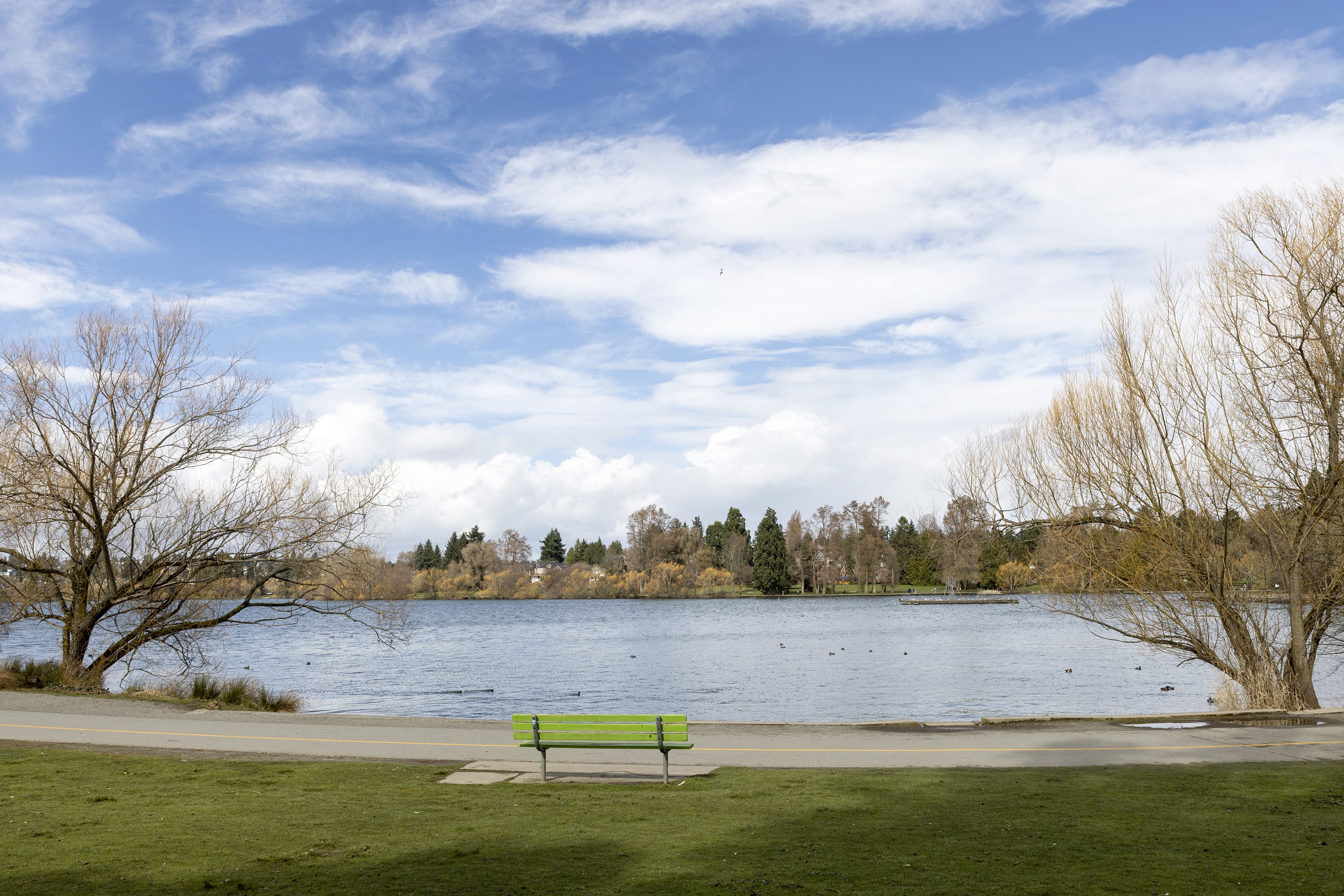 Outdoor seating area next to a pond and trees.