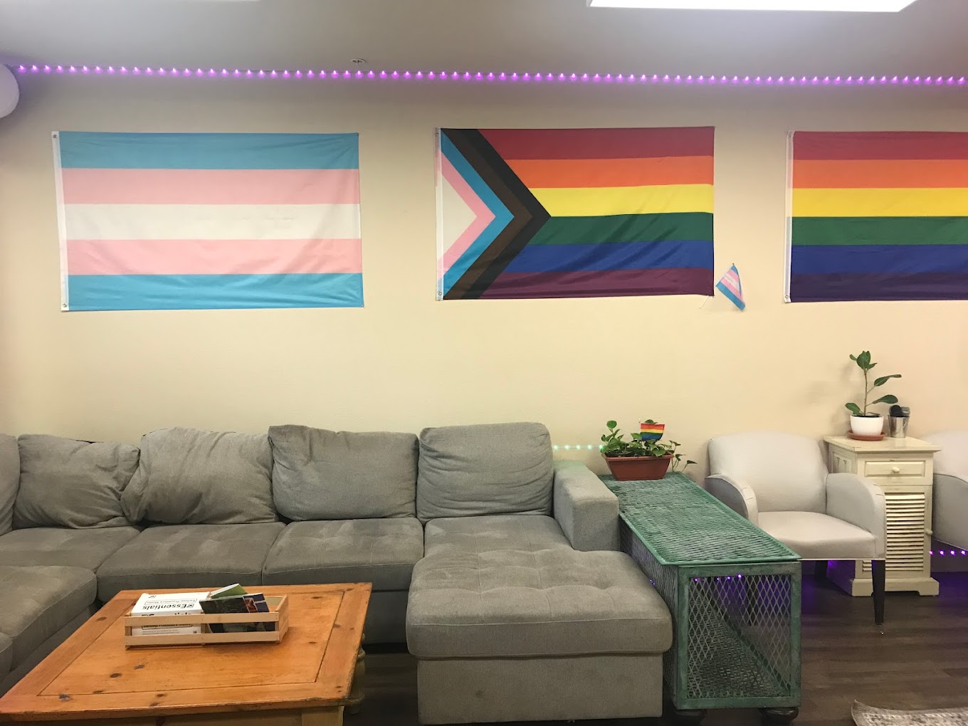 A lounge with gray sofas and pride flags on the walls