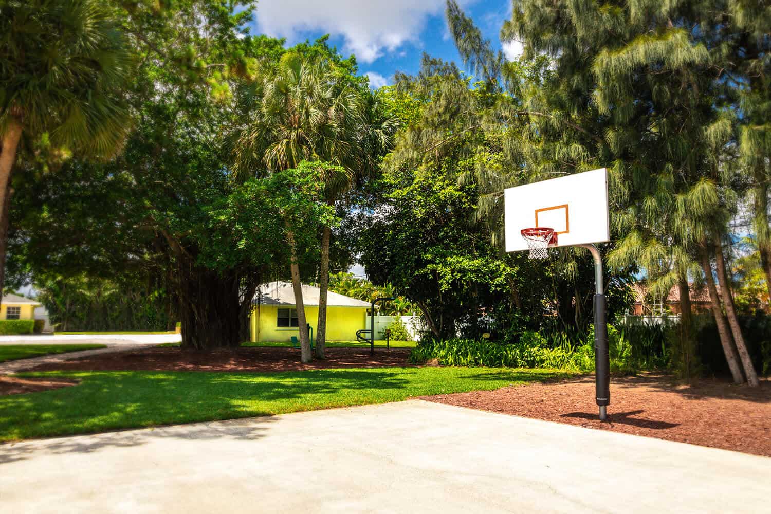 Basketball hoop on outdoor court by trees