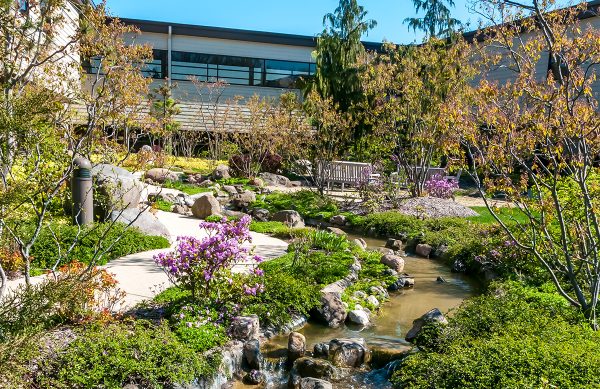 Landscaped garden with stream and walking path