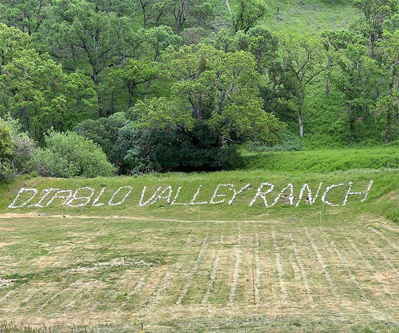 Diablo Valley Ranch name displayed on hillside