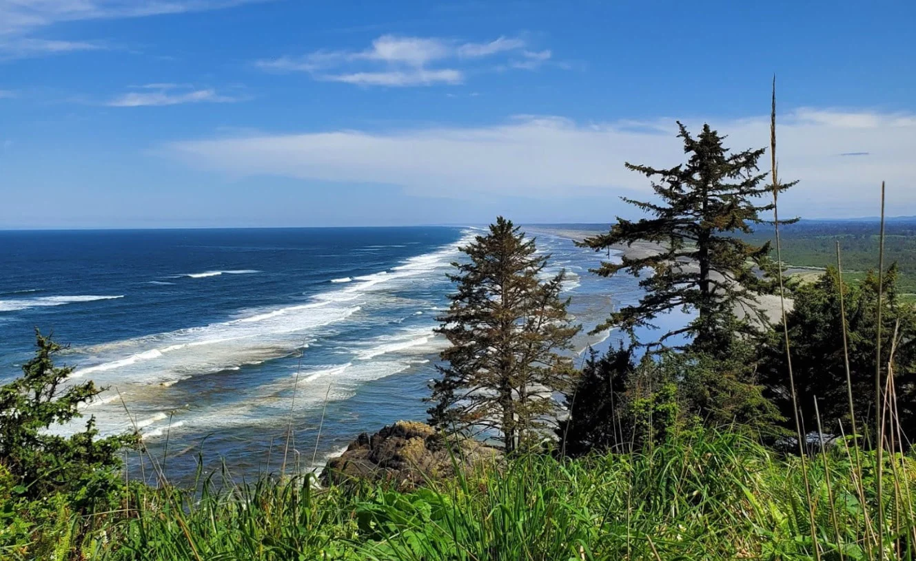 A scenic coastal view with ocean waves and lush greenery.