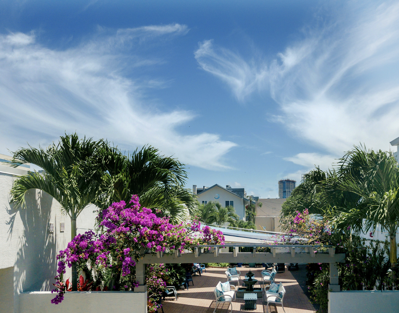 Courtyard with flowers, seating, and palm trees