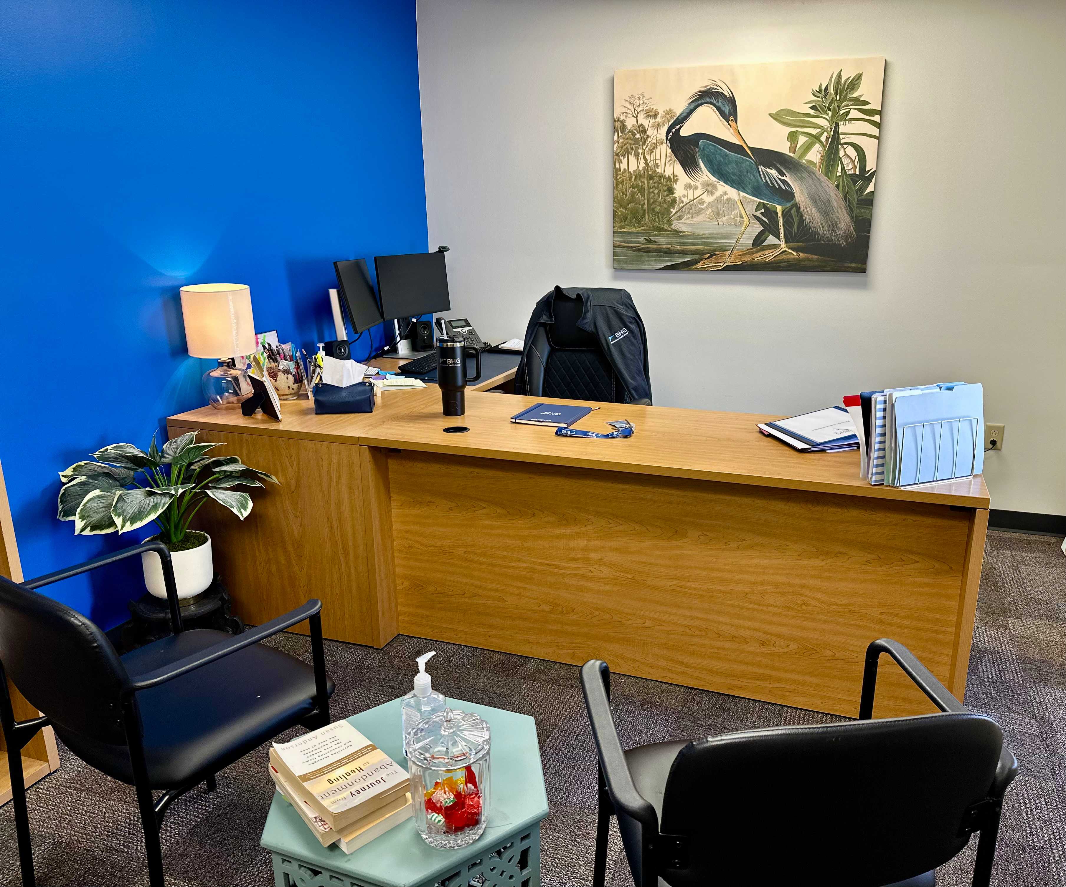 Medical director office with desk and guest seating
