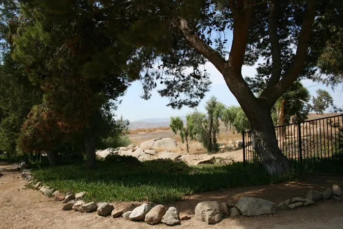 Shady trees with distant hills and open land view