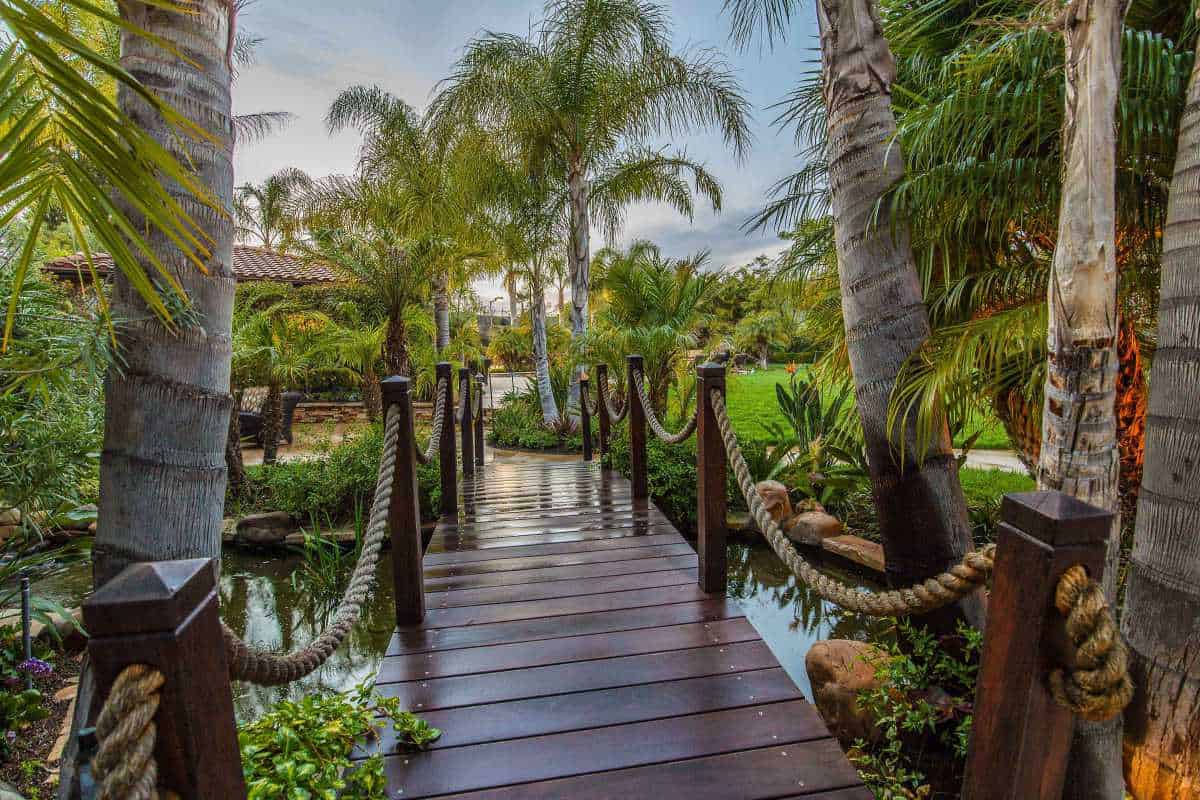 Spacious Outdoor Garden with Hanging Bridge