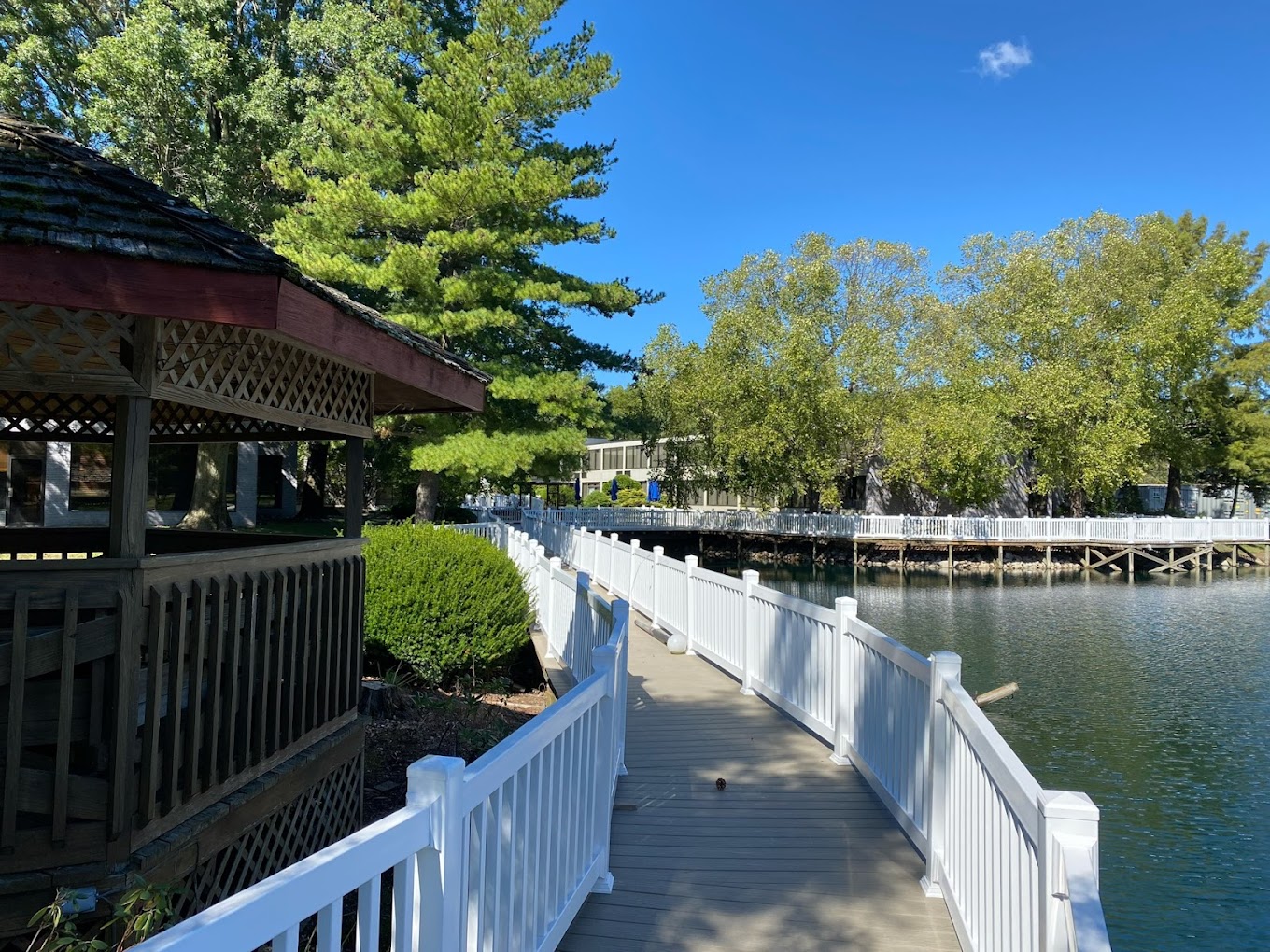 Boardwalk lined with white railings over pond.