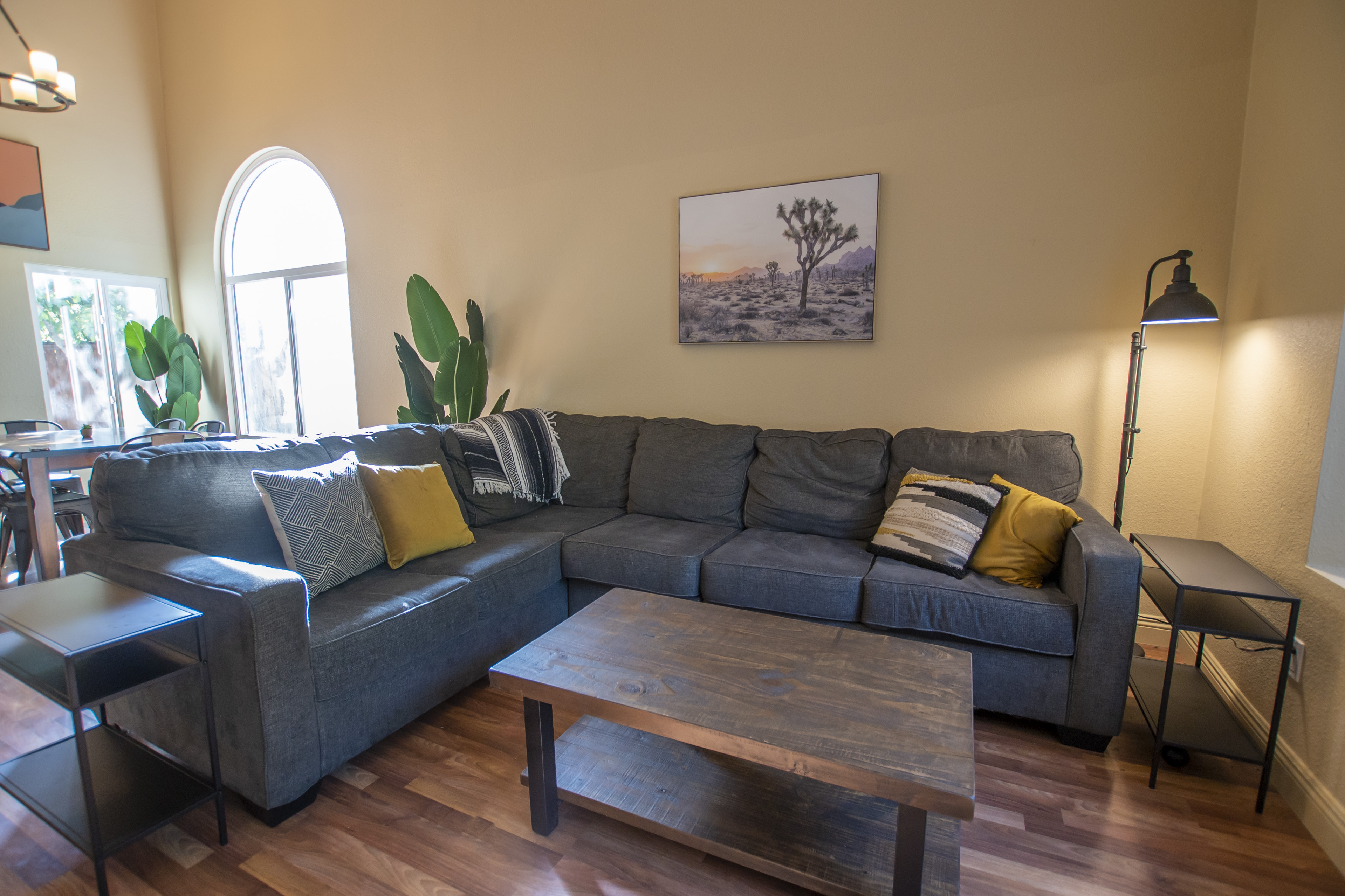 Sectional couch in bright living room with plants