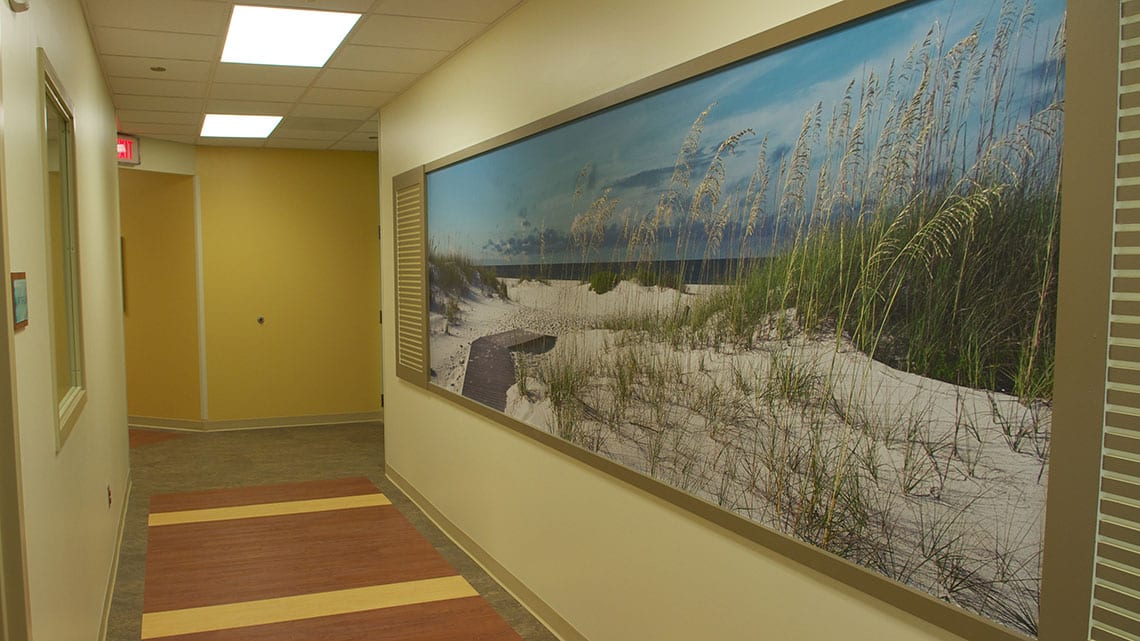 Interior hallway with calming wall artwork