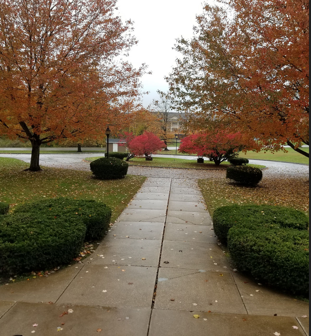 Paved path with bushes and trees showing fall colors