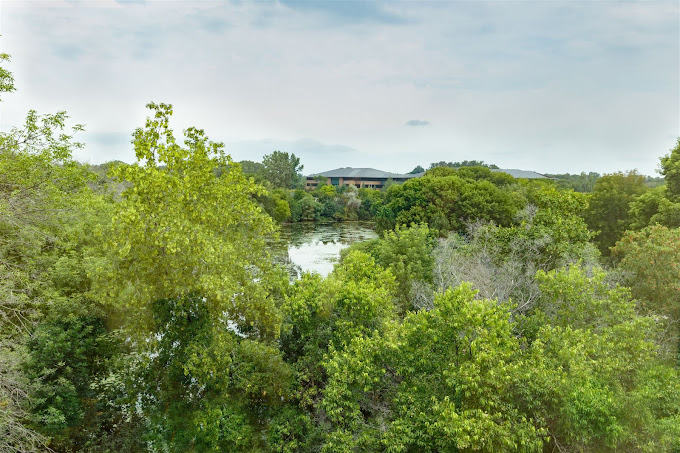 northwoods-haven-hopkins P3