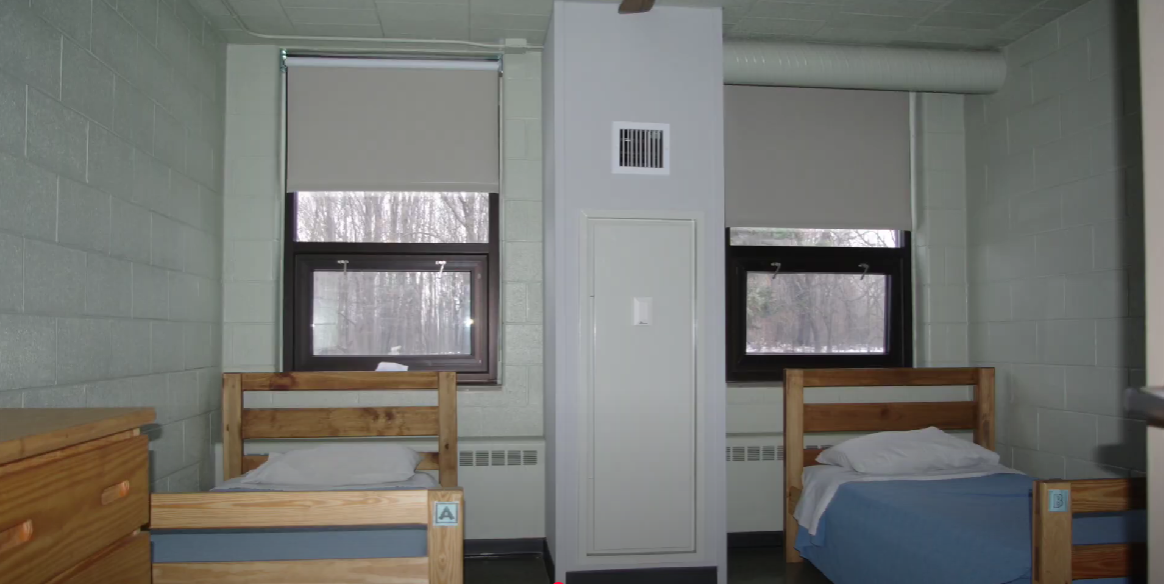 Two twin beds in a simple shared room with forest view windows