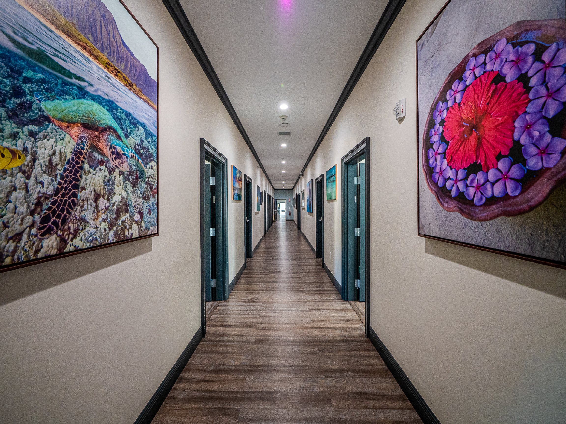 Hallway with client room doors and colorful wall art