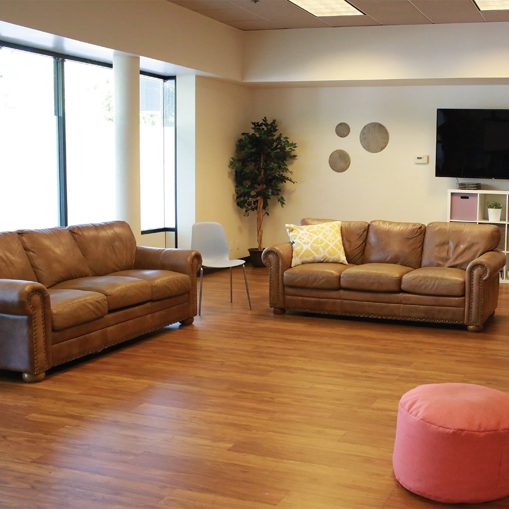Two brown leather couches in a sunny group therapy room