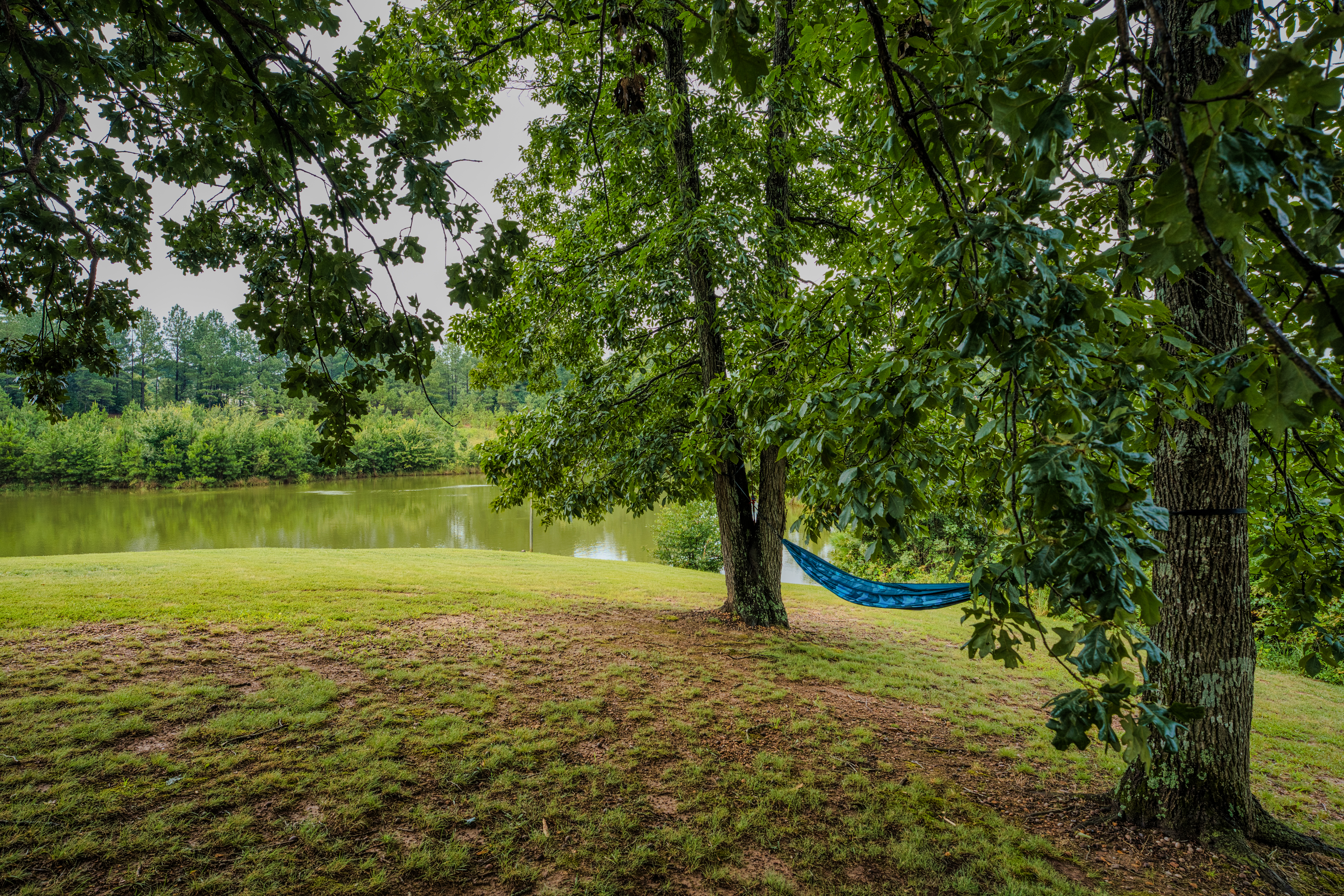Serene lakefront hammock view