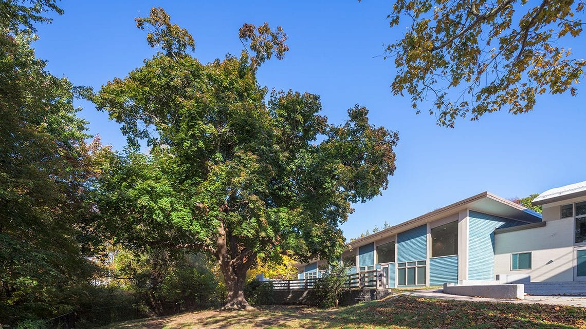 Building exterior with large tree and blue sky