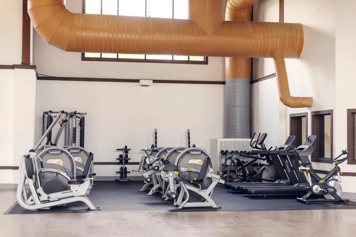 Wood Violet Recovery Dodgeville Photo7