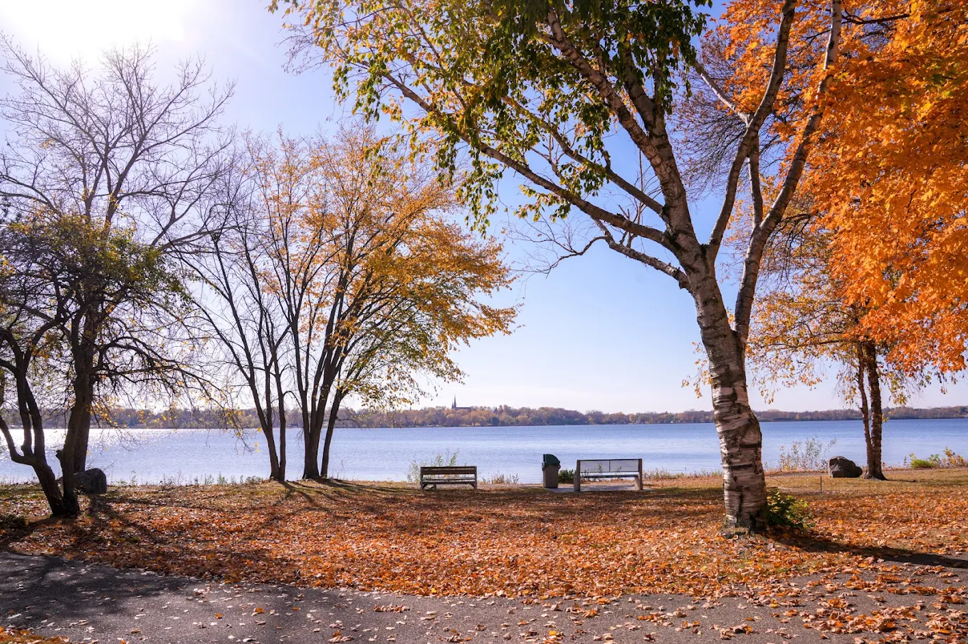 Lakefront view with trees, benches, and autumn foliage
