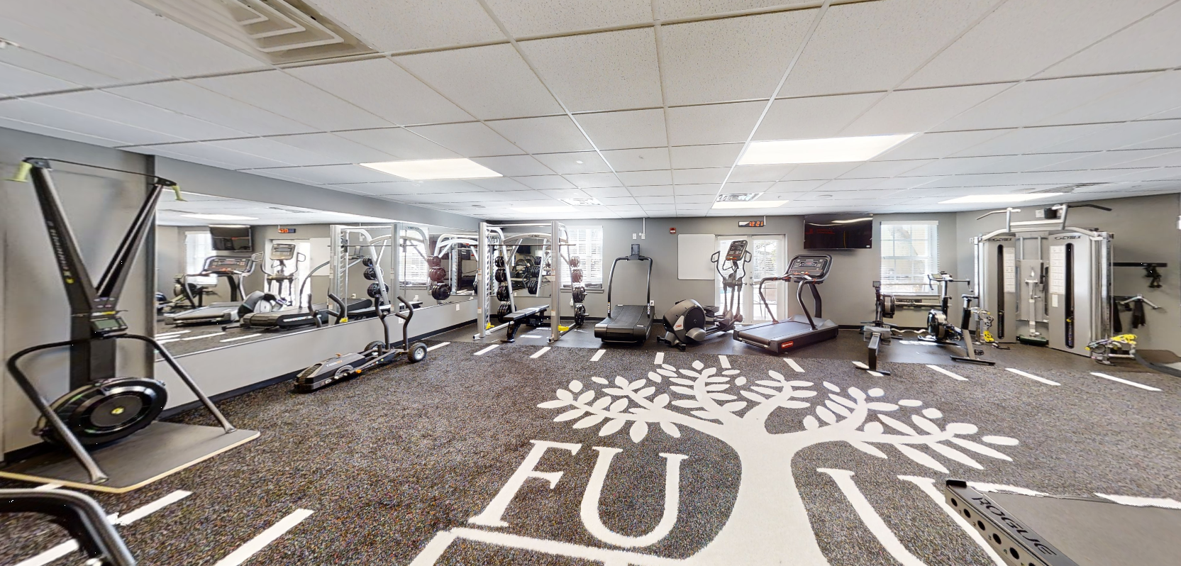 Gym with treadmills, weights, and tree logo on the floor