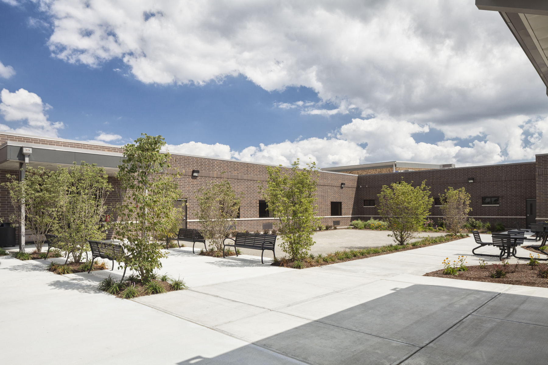  Courtyard with benches and small trees on concrete paths