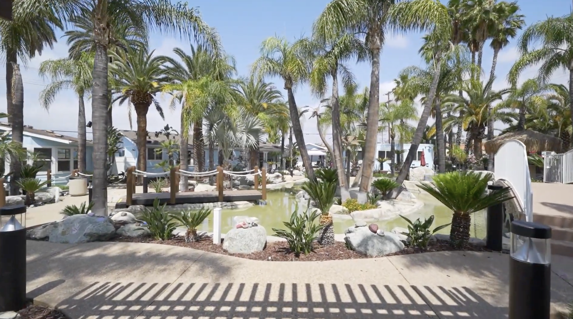 Palm-lined garden path beside ponds and tropical landscaping