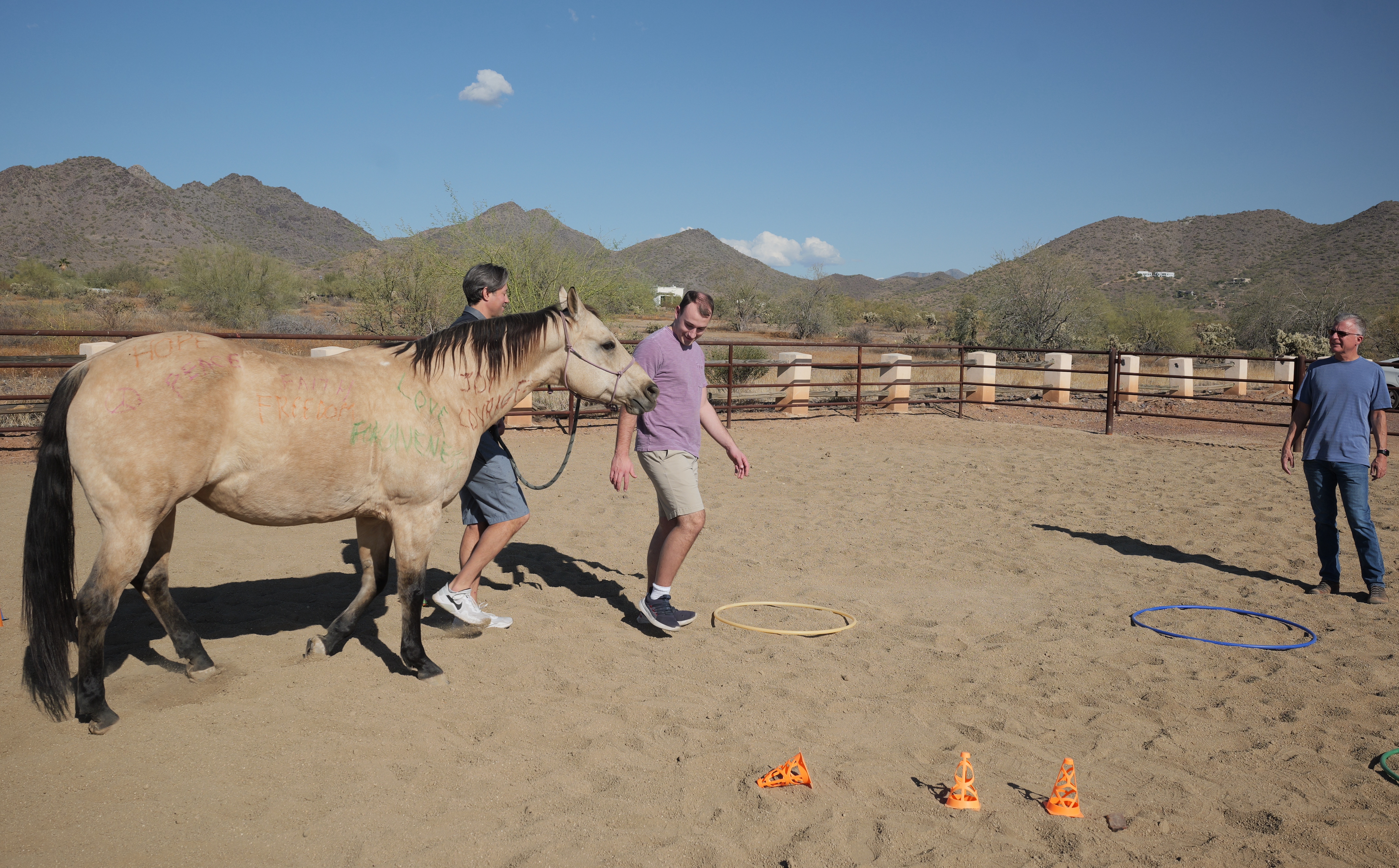 Group interacting with a horse during therapy session