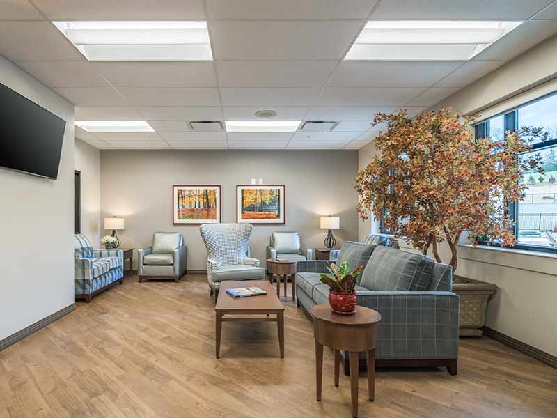 Lounge with sofas, armchairs, television, and indoor tree
